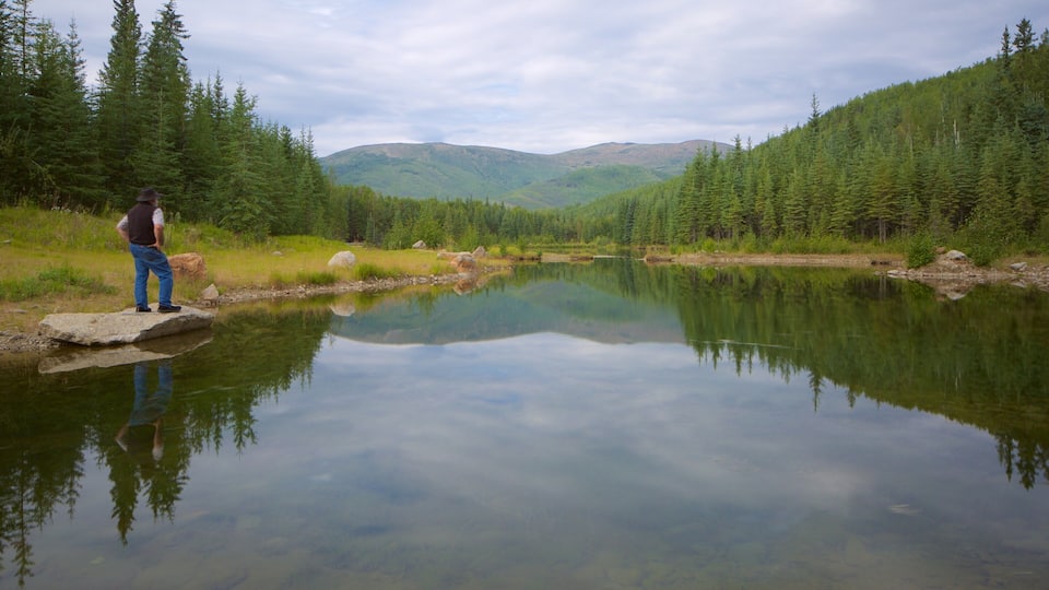 A person standing on a rock by a calm lake surrounded by dense forest and hills.
