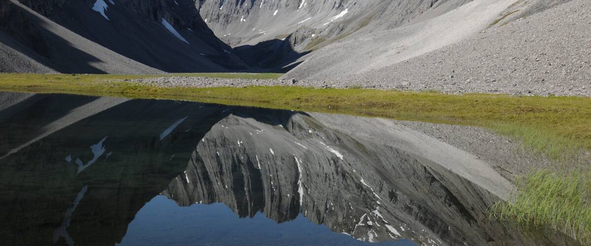 Gates of the Arctic National Park which includes tranquil scenes and a lake or waterhole