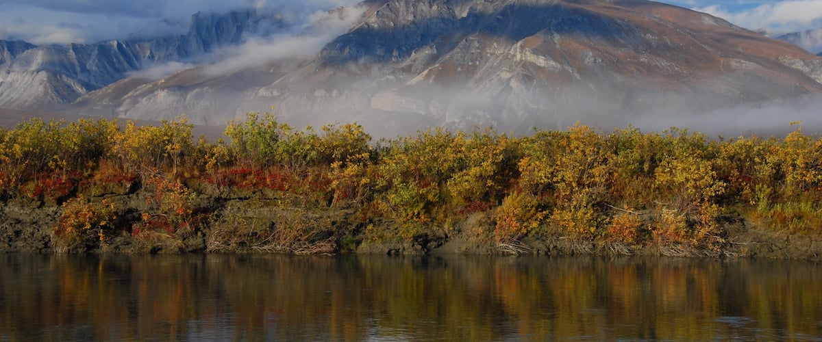 A mountain range with autumn foliage in the foreground and clouds at the base.