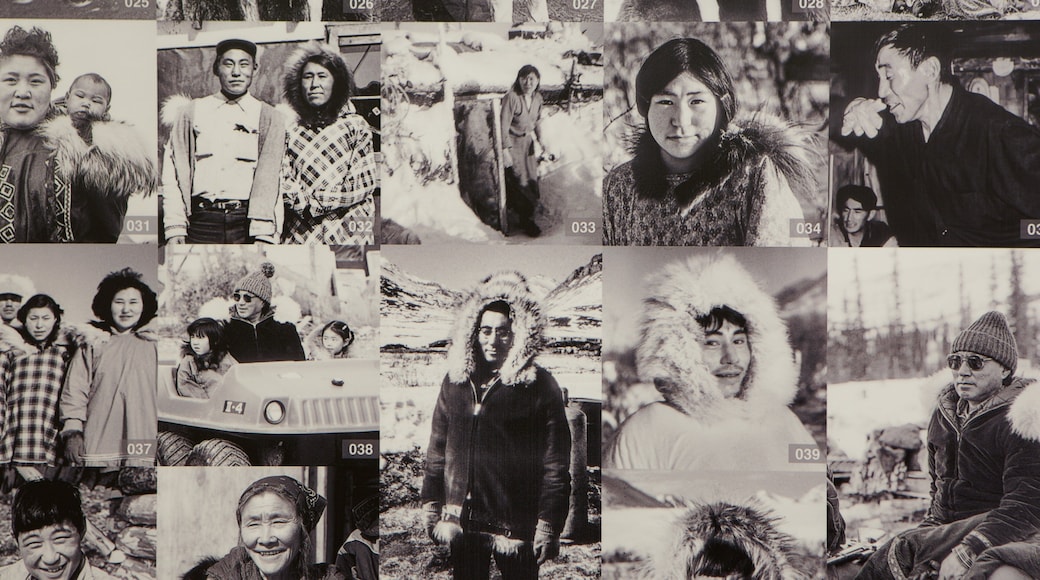 Gates of the Arctic National Park