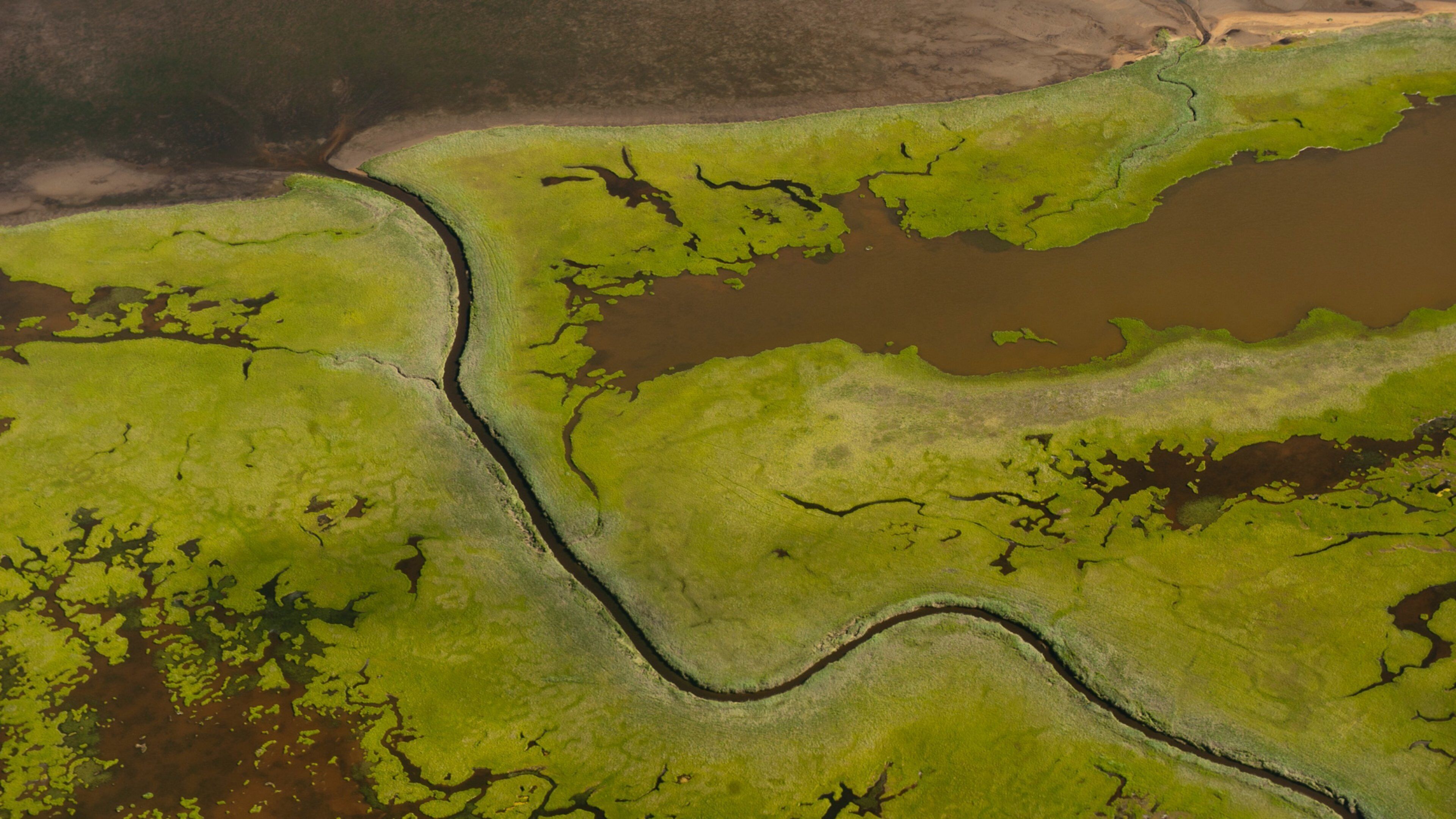 An aerial view of a river winding through a green landscape with patches of water bodies.
