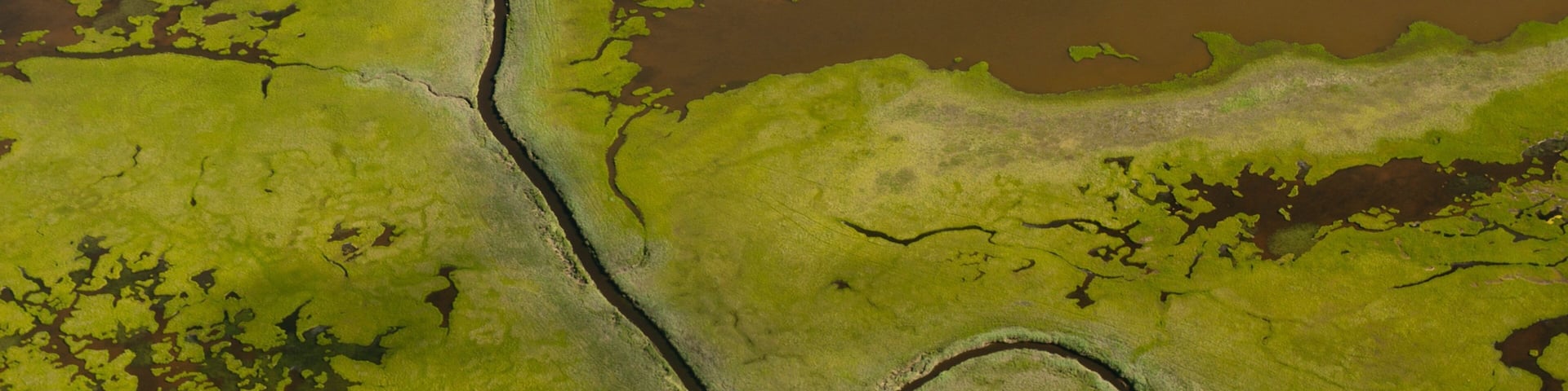 Vista aérea de un río que serpentea a través de un paisaje verde con áreas de cuerpos de agua.