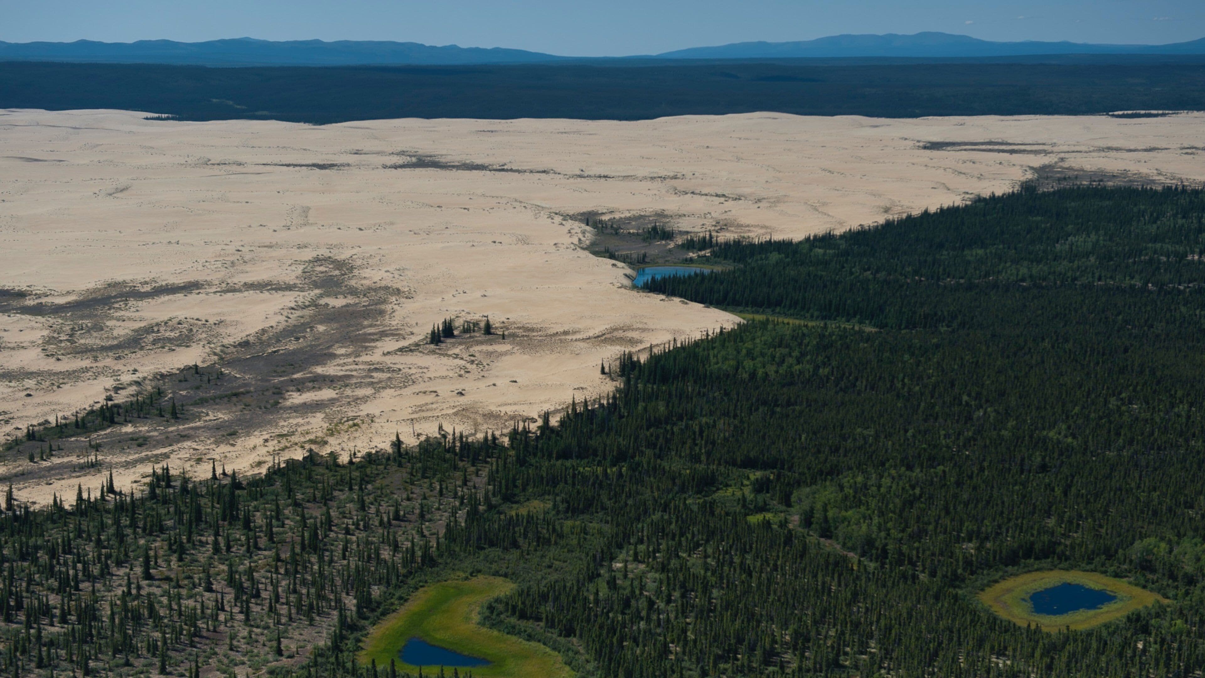 A vast desert landscape with sparse vegetation and a small lake.