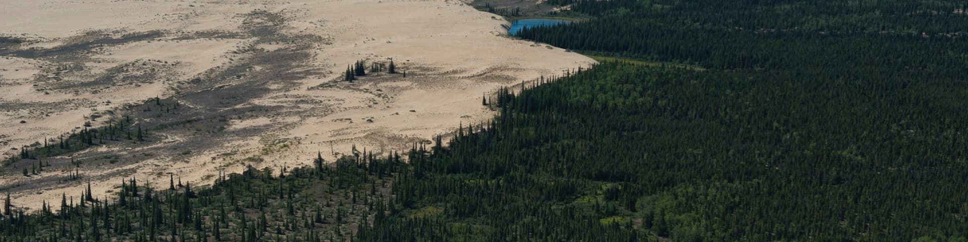 A vast desert landscape with sparse vegetation and a small lake.