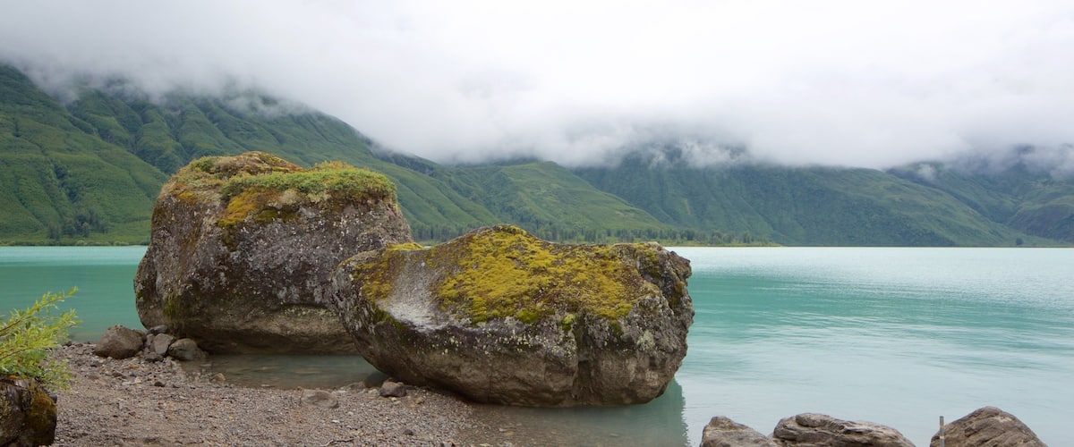 レイク クラーク国立公園と保護区 どの含み 岩の多い海岸線 と 霞あるいは霧
