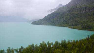 Lake Clark National Park and Preserve which includes forests and a lake or waterhole