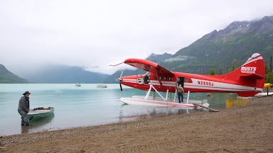 Lake Clark National Park and Preserve showing a pebble beach