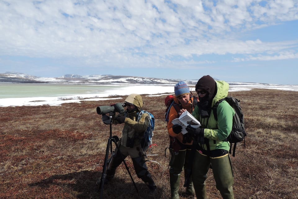 A group of people in a field with a camera on a tripod, a person holding a book, and a snowy landscape in the background.