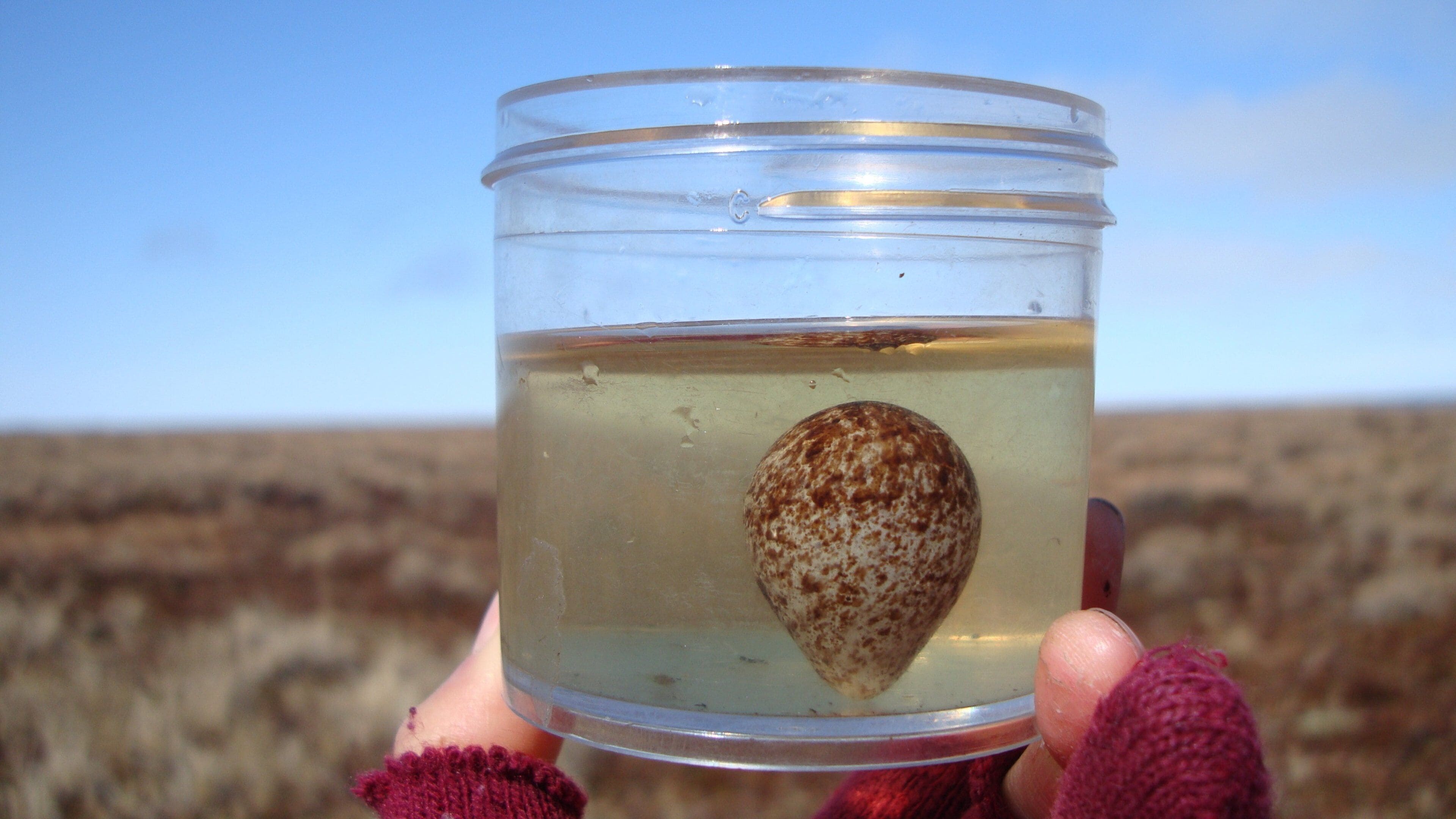 Cape Krusenstern National Monument