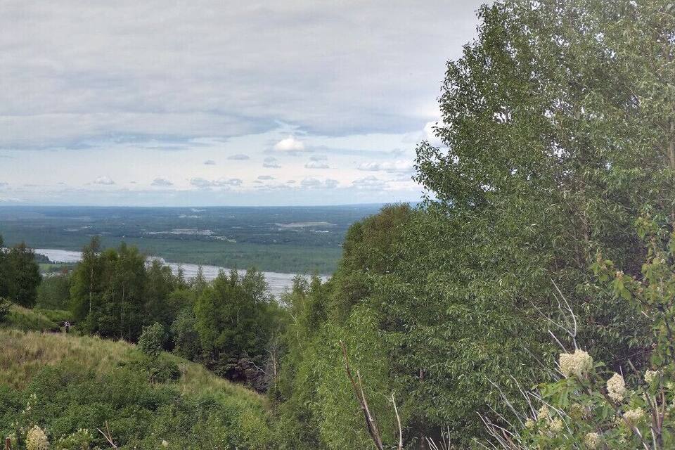 A mountainous landscape with a river, dense forest, and a distant mountain range.