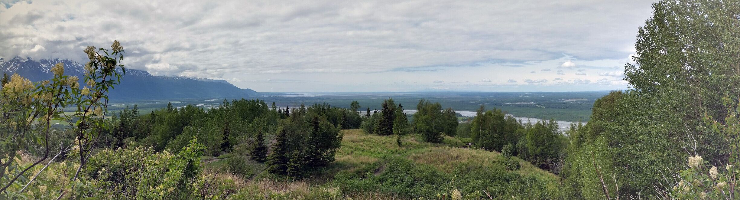 A mountainous landscape with a river, dense forest, and a distant mountain range.