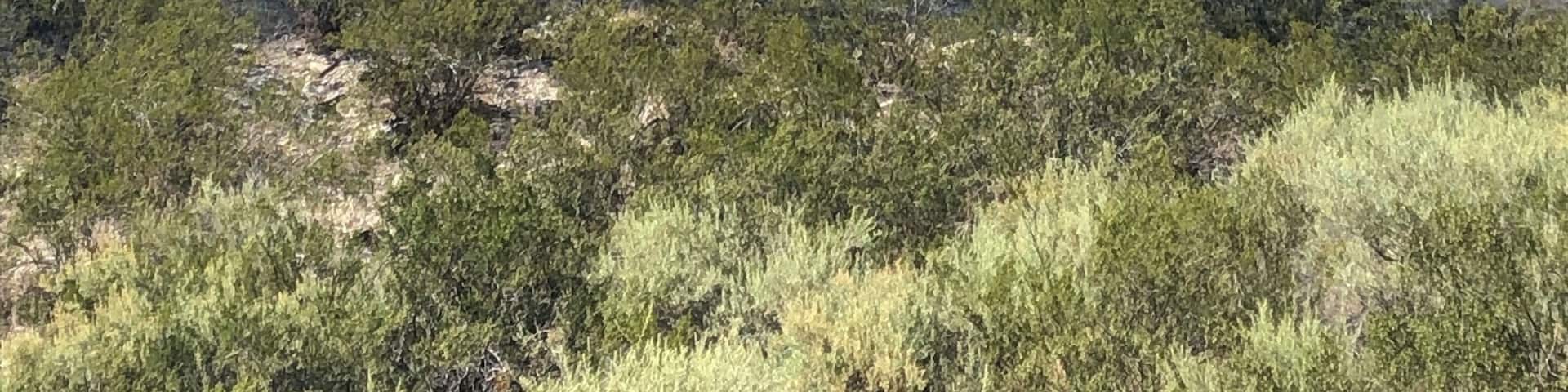 $10 dollars beautiful park