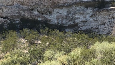 $10 dollars beautiful park