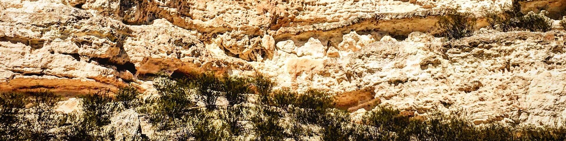 We gaze through the windows of the past into one of the best preserved cliff dwellings in North America. This 20 room high-rise apartment, nestled into a towering limestone cliff, tells a story of ingenuity, survival and ultimately, prosperity in an unforgiving desert landscape. approximately 350,000 people a year gaze through the windows of the past during a visit to Montezuma Castle. Even 600 years after their departure, the legacy of the Sinagua people continues to inspire the imaginations of this and future generations. #nps #findyourpark #nationalpark #instone