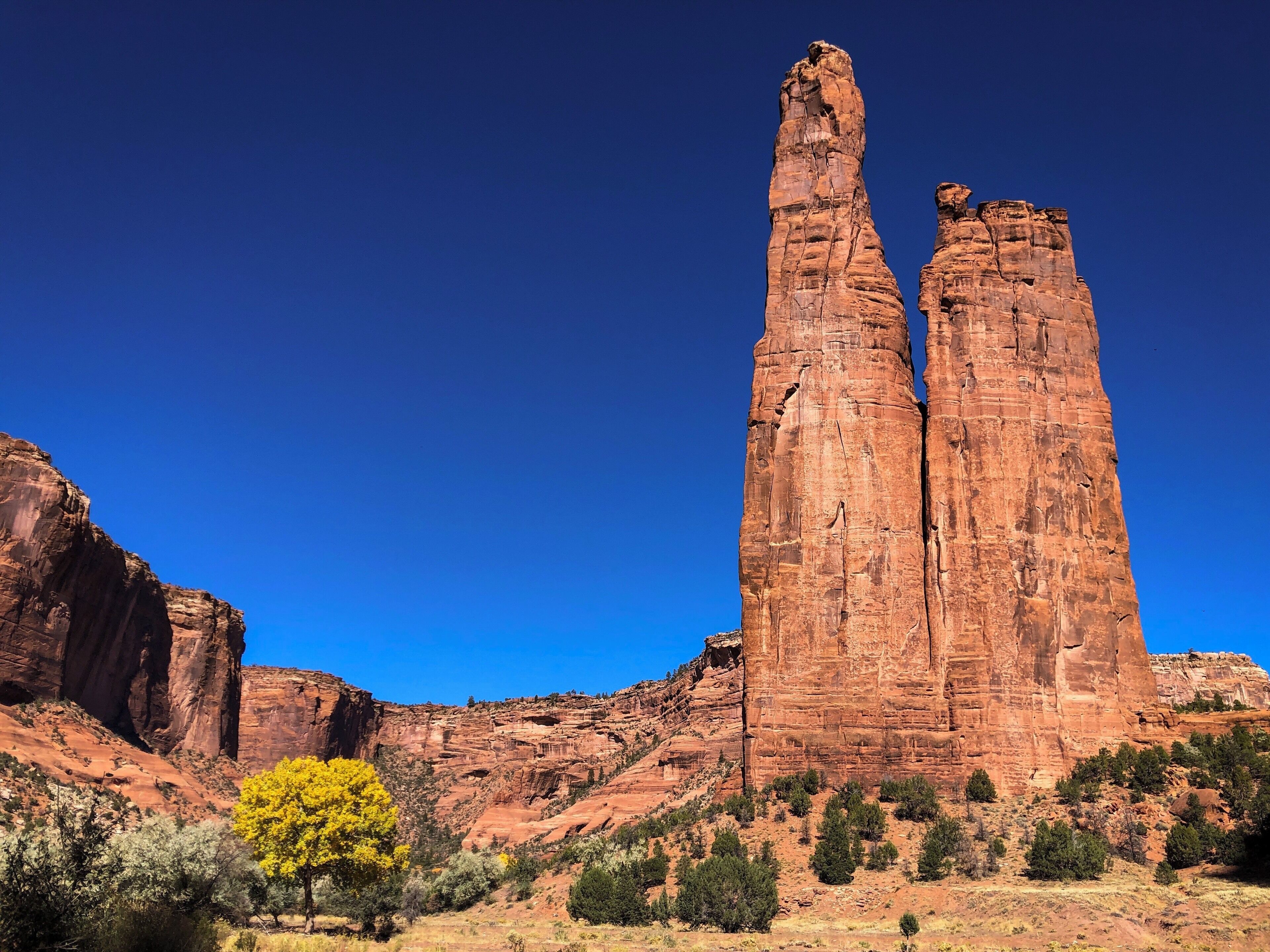 Spider Rock and some fall coloring.  Go in the afternoon, and you and your Navajo guide will have the place pretty much to yourself!