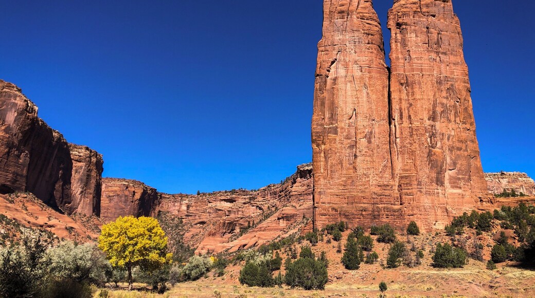 Spider Rock and some fall coloring. Go in the afternoon, and you and your Navajo guide will have the place pretty much to yourself!