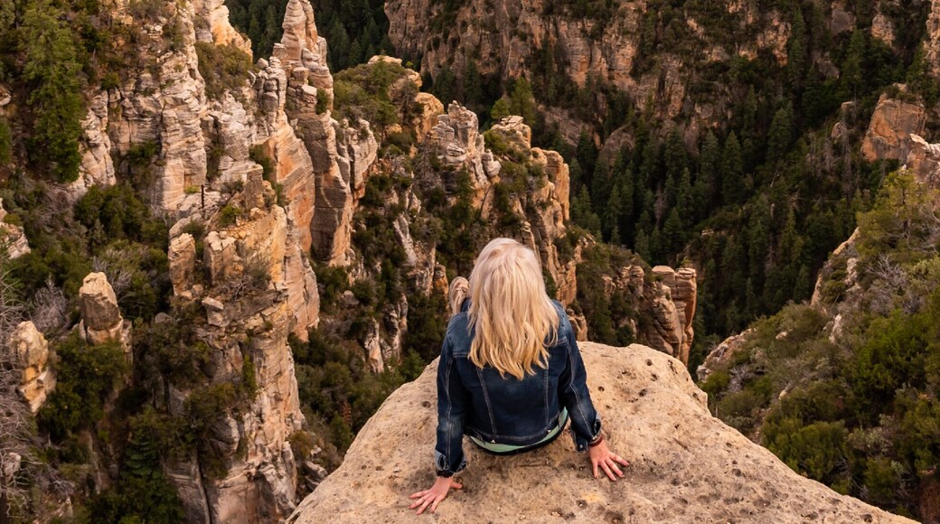 One of our favorite ways to explore on a budget is driving down forest service roads. Some of them lead nowhere, and others of them lead to dramatic scenic locations like this...
This secret little spot is one we'd heard of but didn't have directions to out in the Coconino National Forest or near Flagstaff, AZ. We knew the general direction of this location but had no idea how to get there. We spent an afternoon exploring the area and eventually stumbled upon it. It is such a breathtaking view that we have returned countless times since.
The red rocks out in the distance are the beautiful city of Sedona, more than an hour away...
#wheretoexplorenext #thebestisyettocome #adventure #getlost #optoutside #getoutdoors #naturelovers #nature #adventureculture #explore #exploremore #keepexploring #wildandfree #wildernessculture #travel #travelstoke #roamtheplanet #wanderlust #travellife #travelgram #letsgosomewhere #mytinyatlas #stayandwander #wandermore #adventureawaits #liveyouradventure #discoverearth #sheisnotlost #iamatraveler