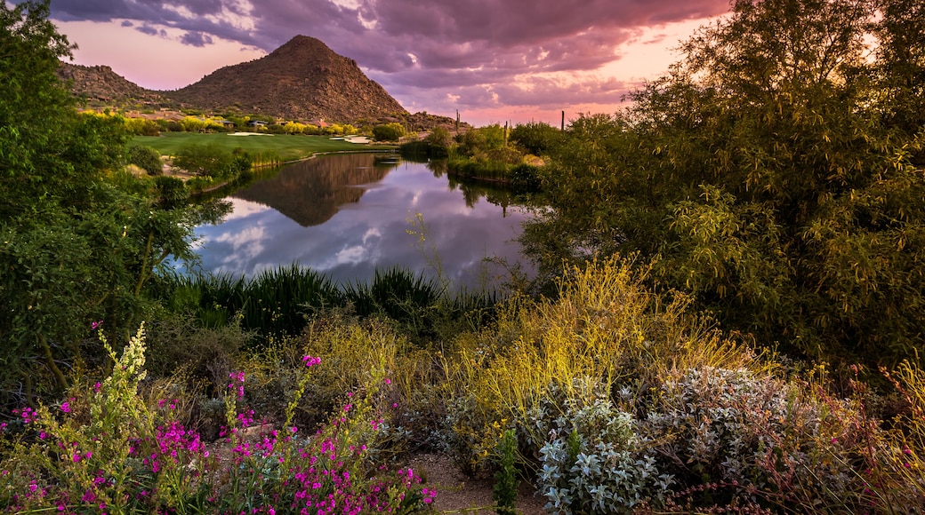 Monumen Nasional Sonoran Desert