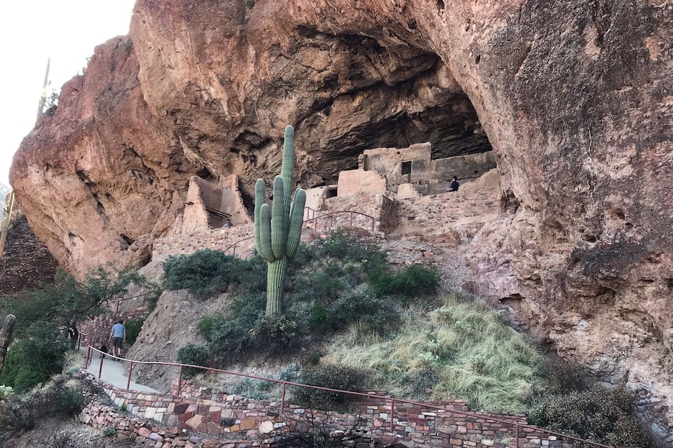 A large rock formation with a cactus in the foreground and ancient ruins built into the cliff.