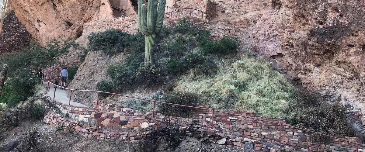 A large rock formation with a cactus in the foreground and ancient ruins built into the cliff.