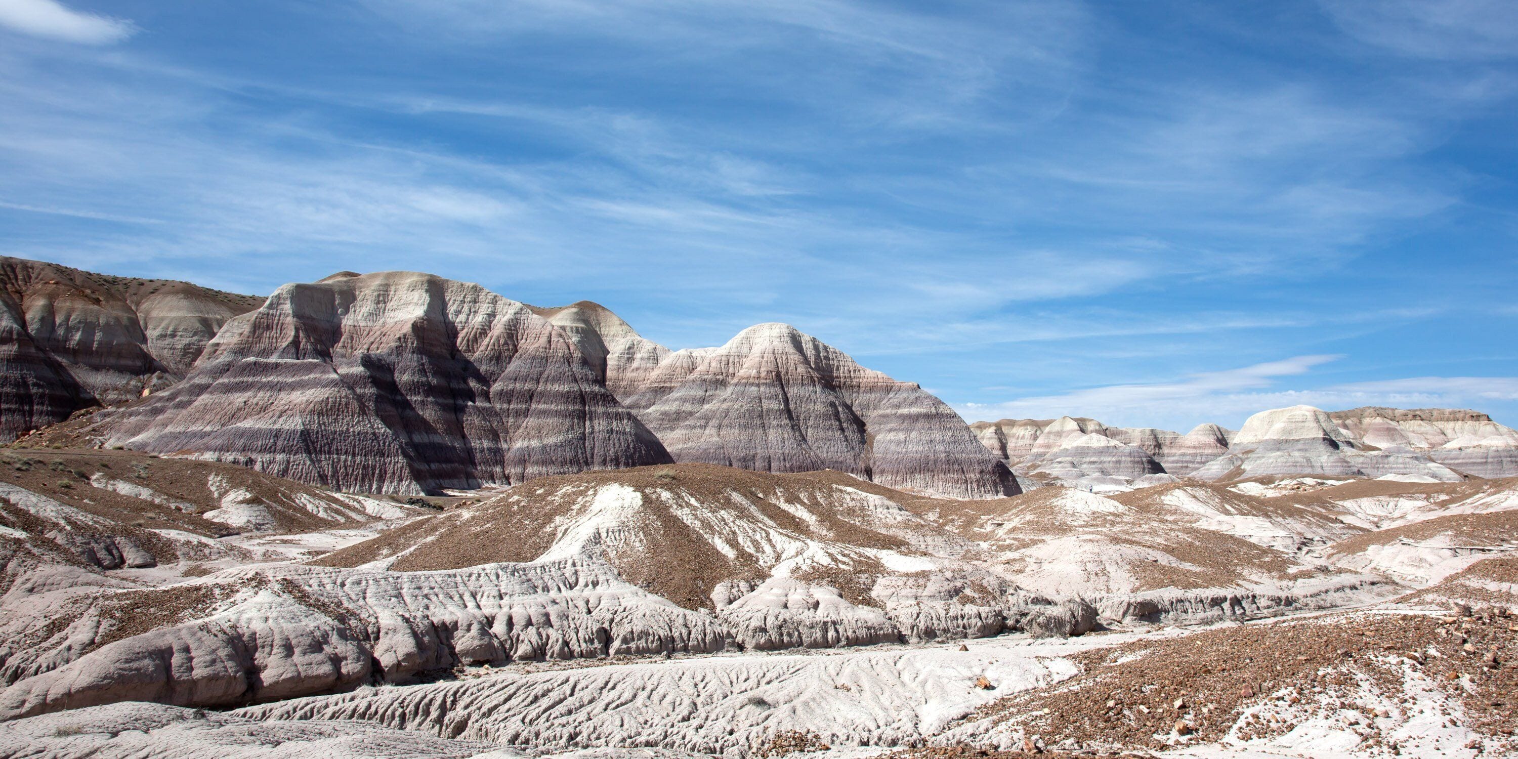 Caption---- Petrified forest National Park