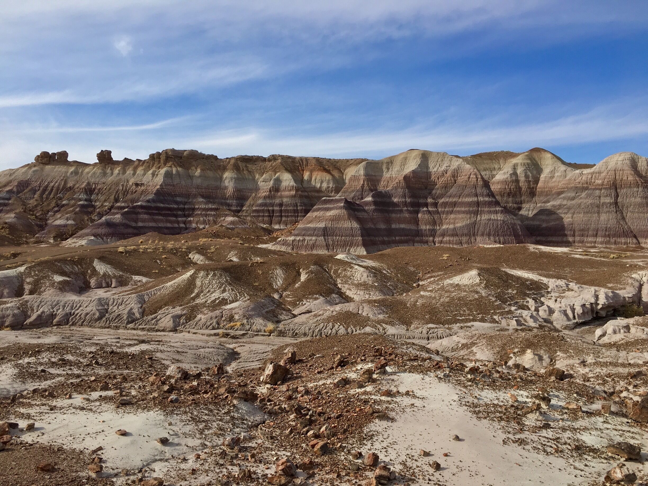 The badlands on the Blue Mesa trail is a beautiful example of the painted desert scenery! 