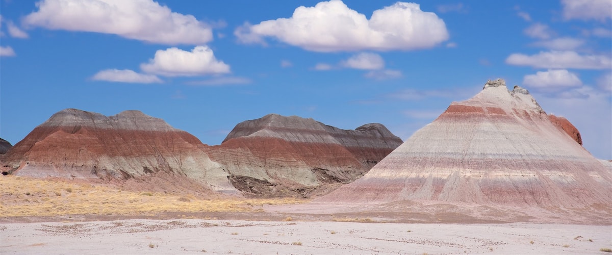 Petrified Forest National Park