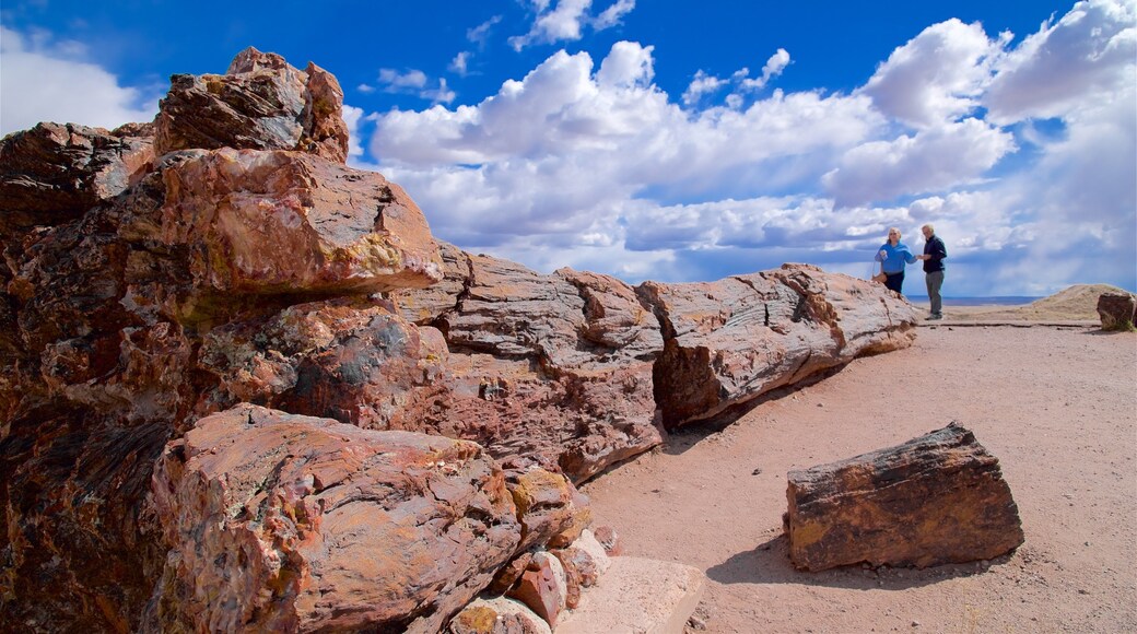 Petrified Forest National Park featuring desert views
