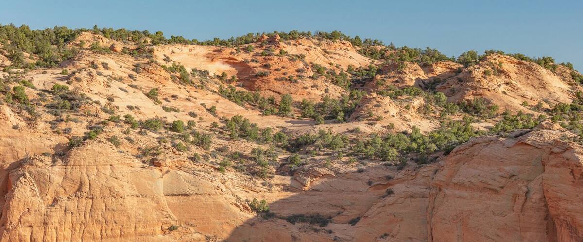 So I drove through the night, to get here before sunrise. Unfortunately the trail is closed until the visitor center is open, which was after sunrise. I was able to race down the trail and see why some 120-200 Navajo called this home at one point. It is perfectly placed to get shade through morning and a spring is nearby.