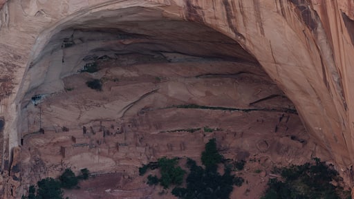 So I drove through the night, to get here before sunrise. Unfortunately the trail is closed until the visitor center is open, which was after sunrise. I was able to race down the trail and see why some 120-200 Navajo called this home at one point. It is perfectly placed to get shade through morning and a spring is nearby.