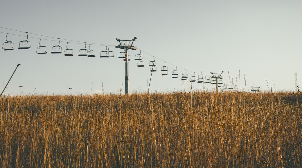 yellow brown summer field on ski resort