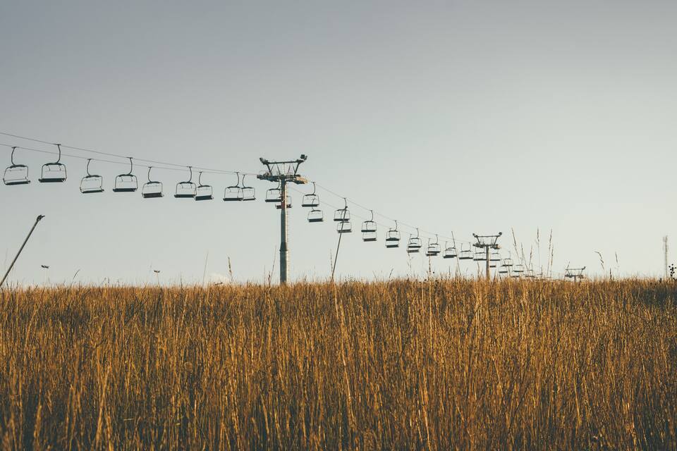A row of empty ski lifts in a field of tall golden crops.