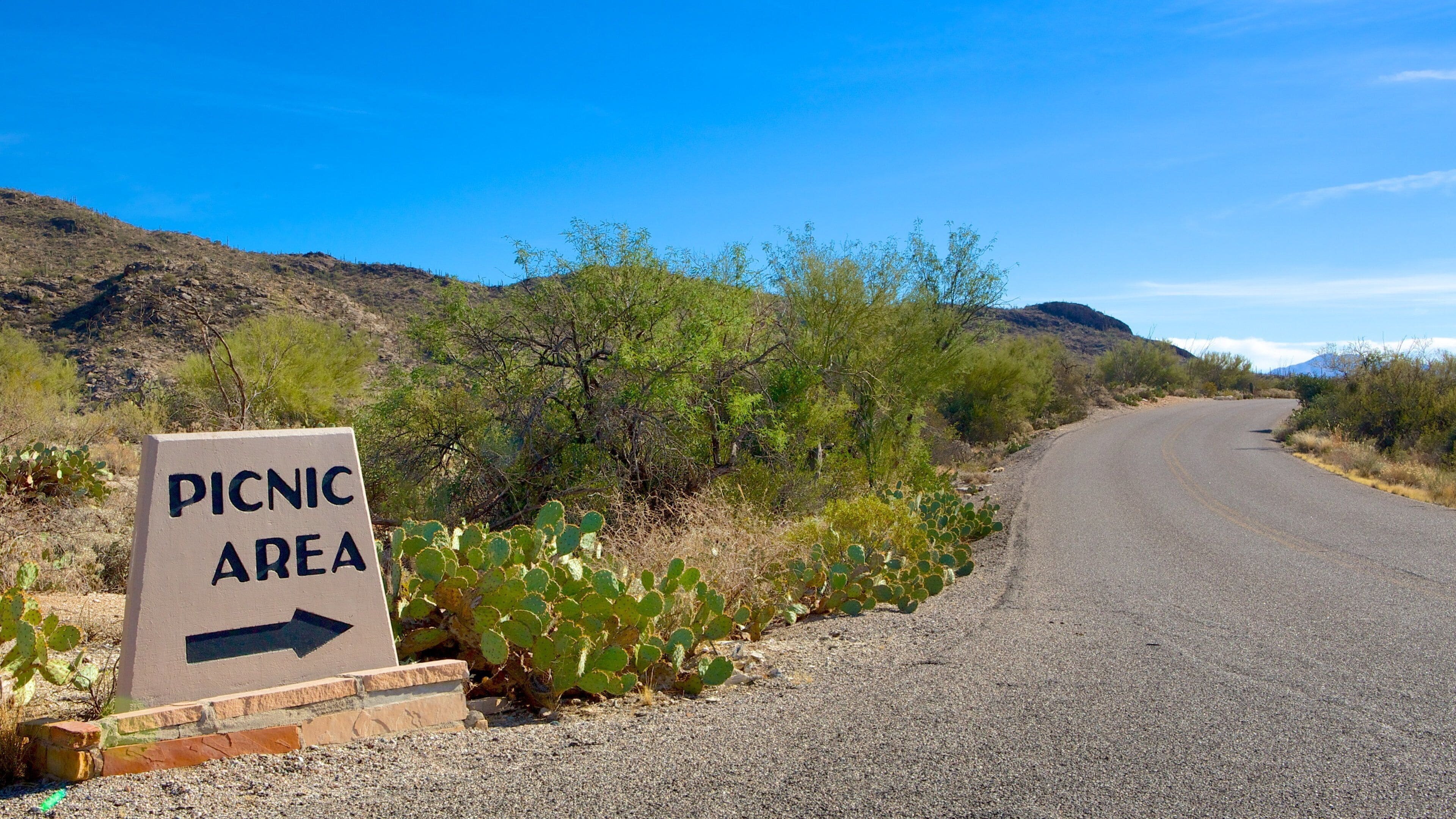Saguaro National Park which includes signage and tranquil scenes