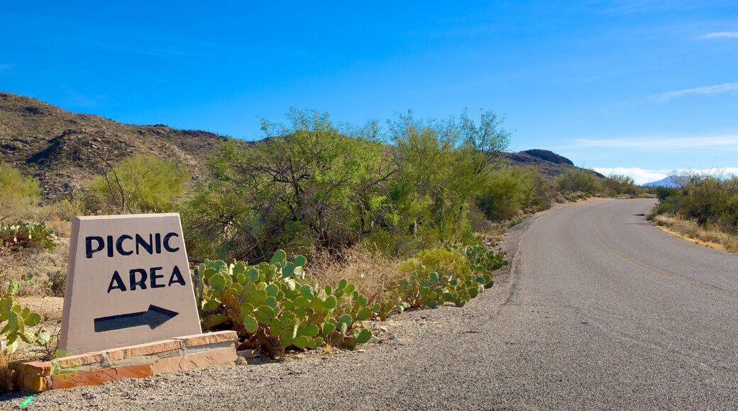 Saguaro National Park which includes signage and tranquil scenes
