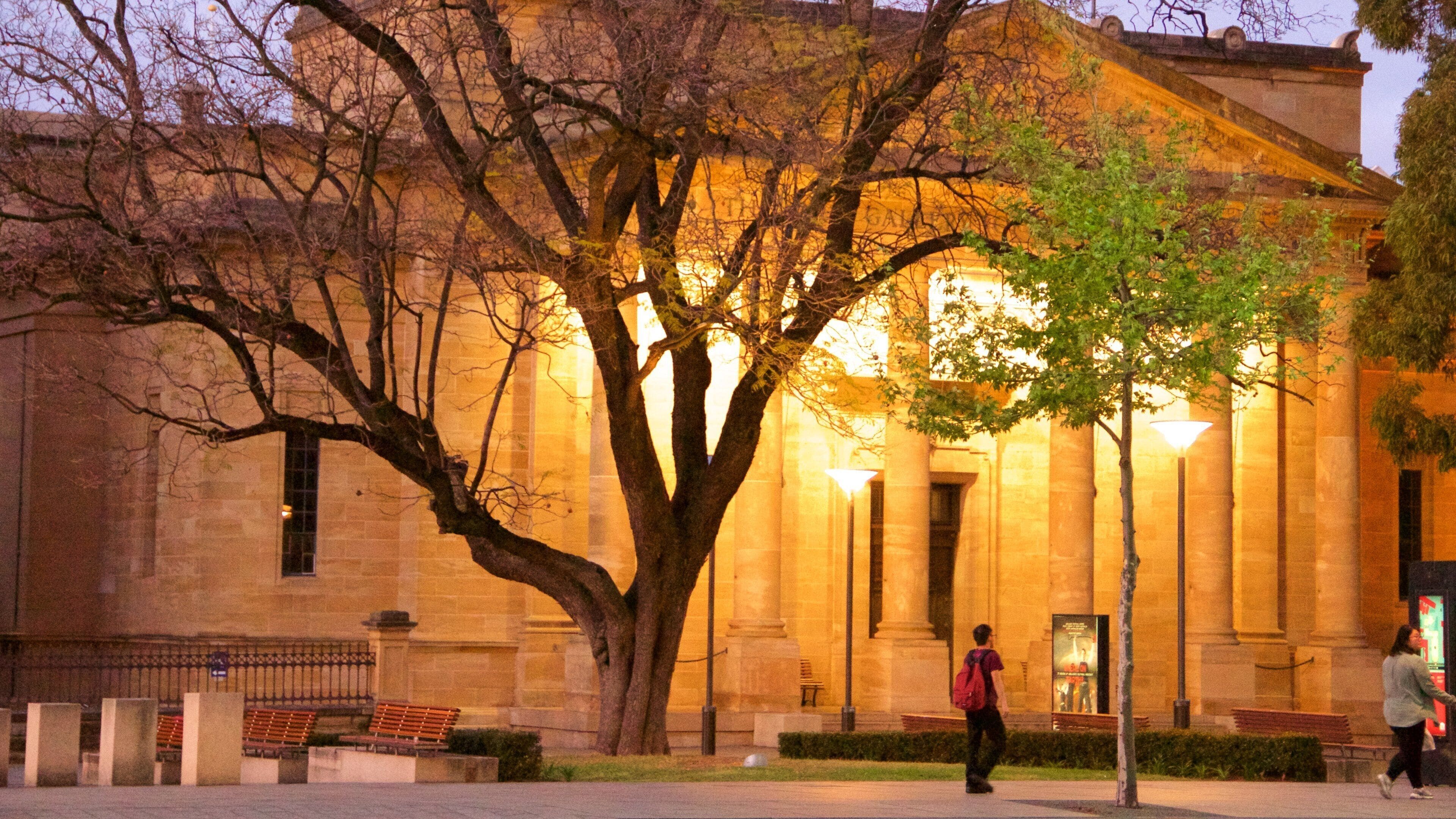 South Australian Museum mostrando paesaggio notturno e architettura d\'epoca