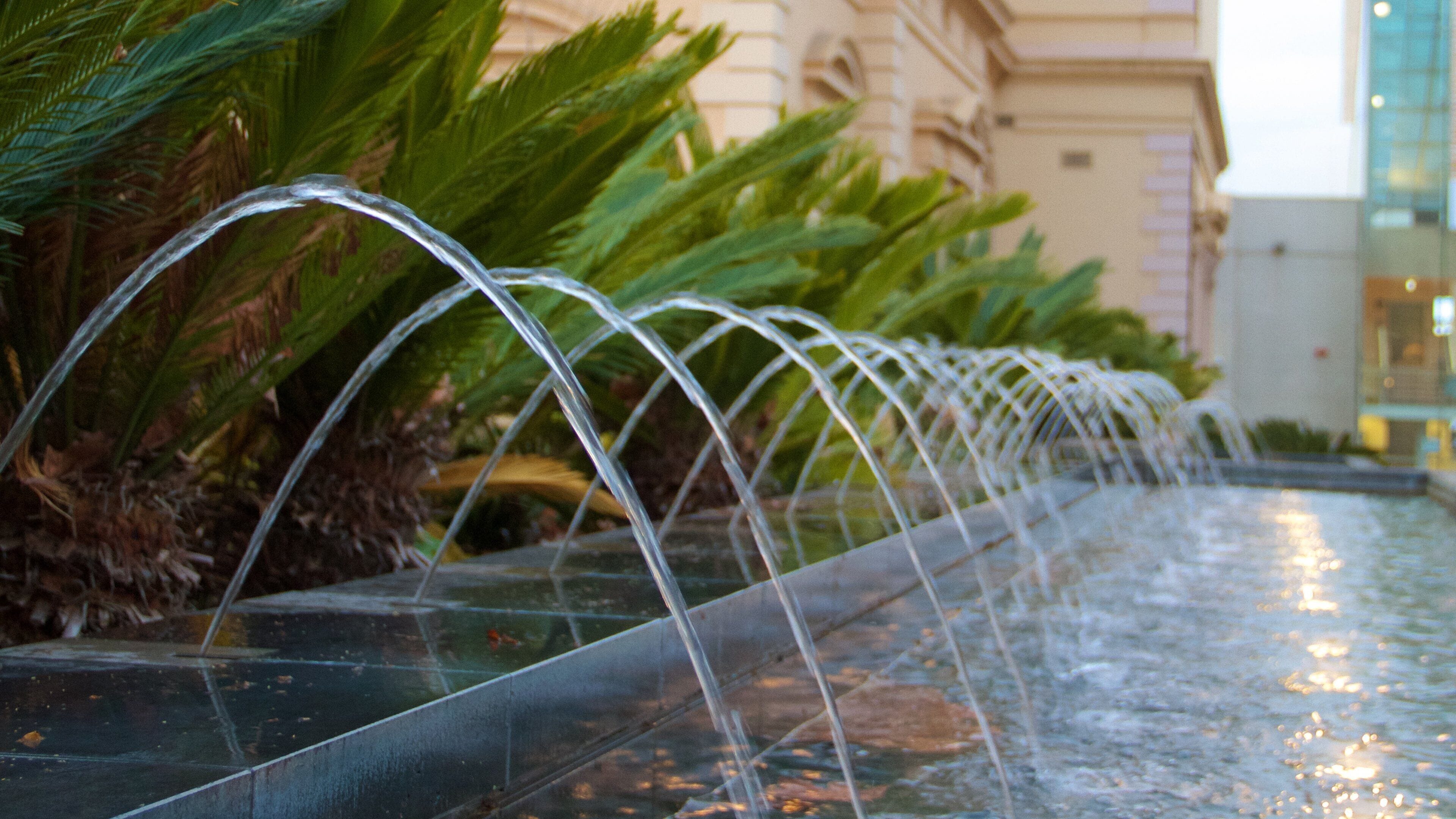 South Australian Museum mostrando uma fonte