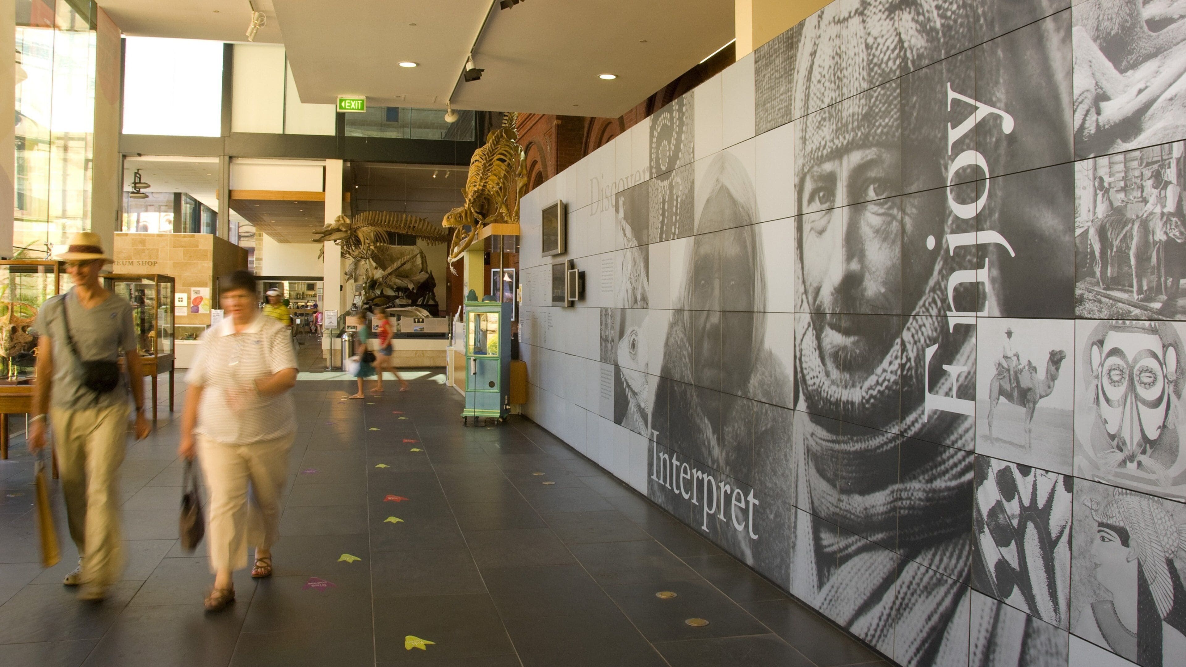 South Australian Museum mostrando vistas internas e sinalização assim como um casal
