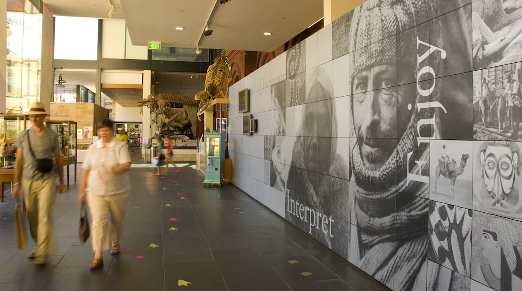 South Australian Museum mostrando vistas internas e sinalização assim como um casal