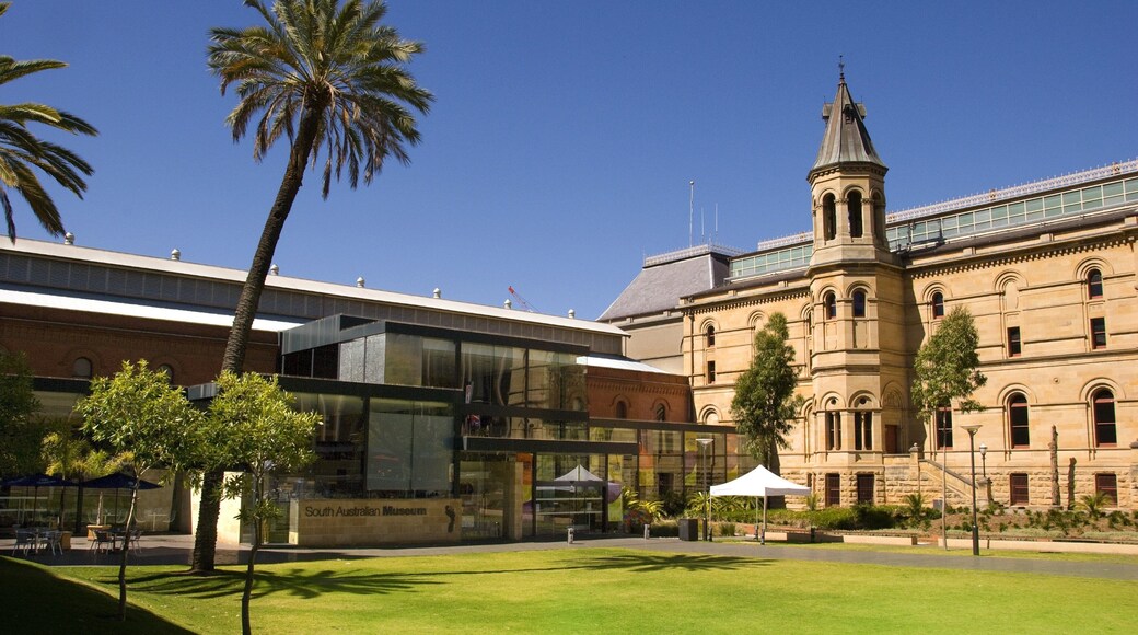 South Australian Museum