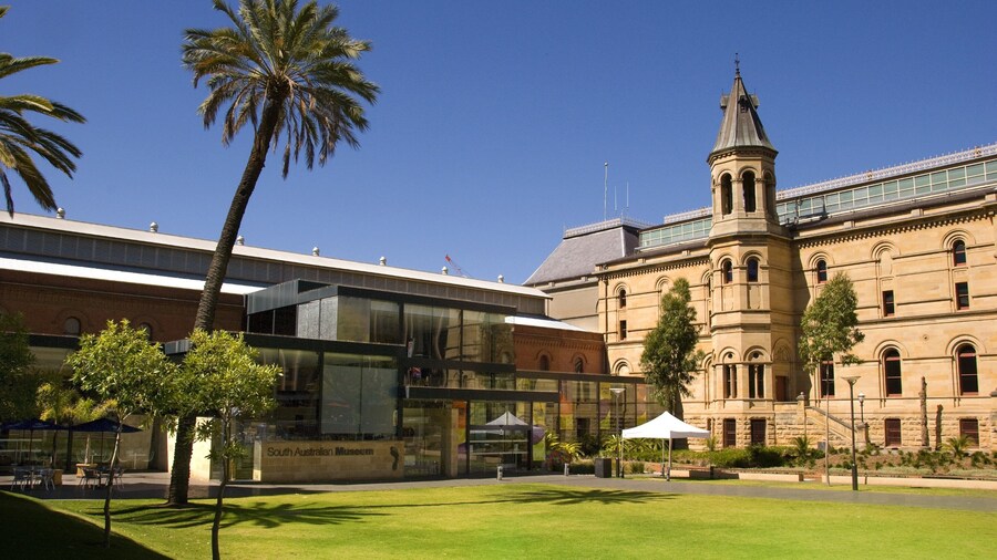 South Australian Museum