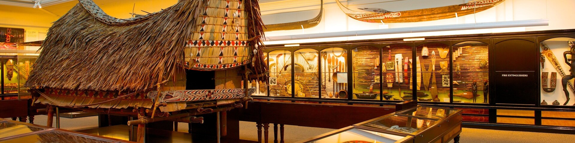 South Australian Museum caracterizando vistas internas