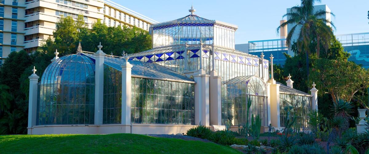 Adelaide Botanic Gardens showing a city and modern architecture