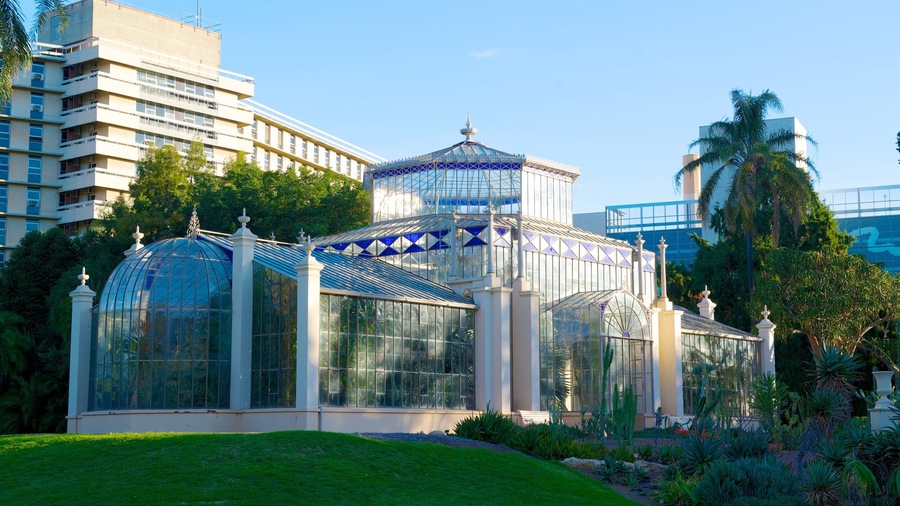 Adelaide Botanic Gardens showing a city and modern architecture