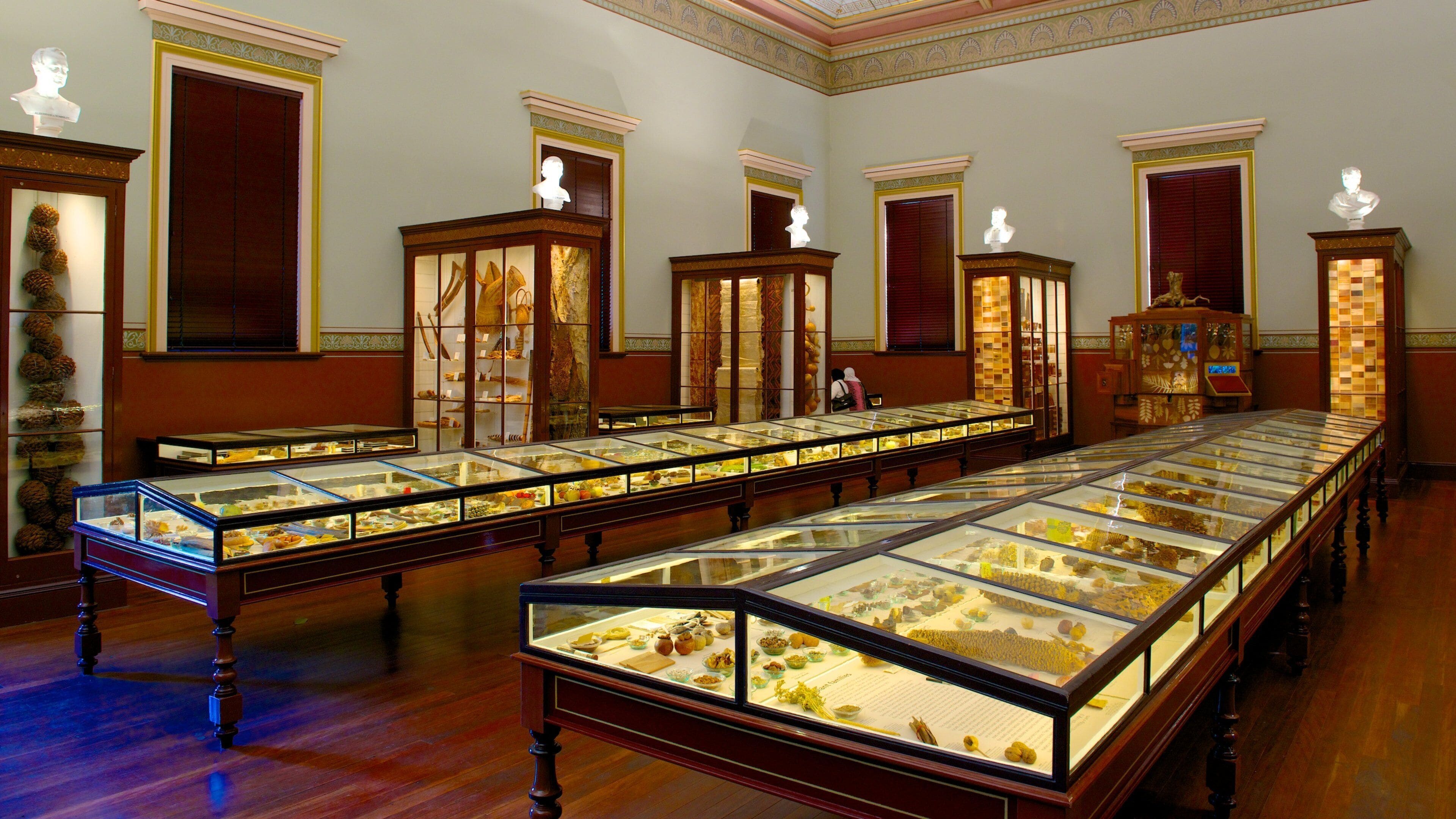 Botanische tuin van Adelaide toont interieur