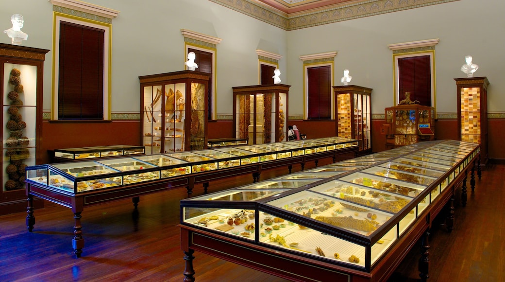 Botanische tuin van Adelaide toont interieur