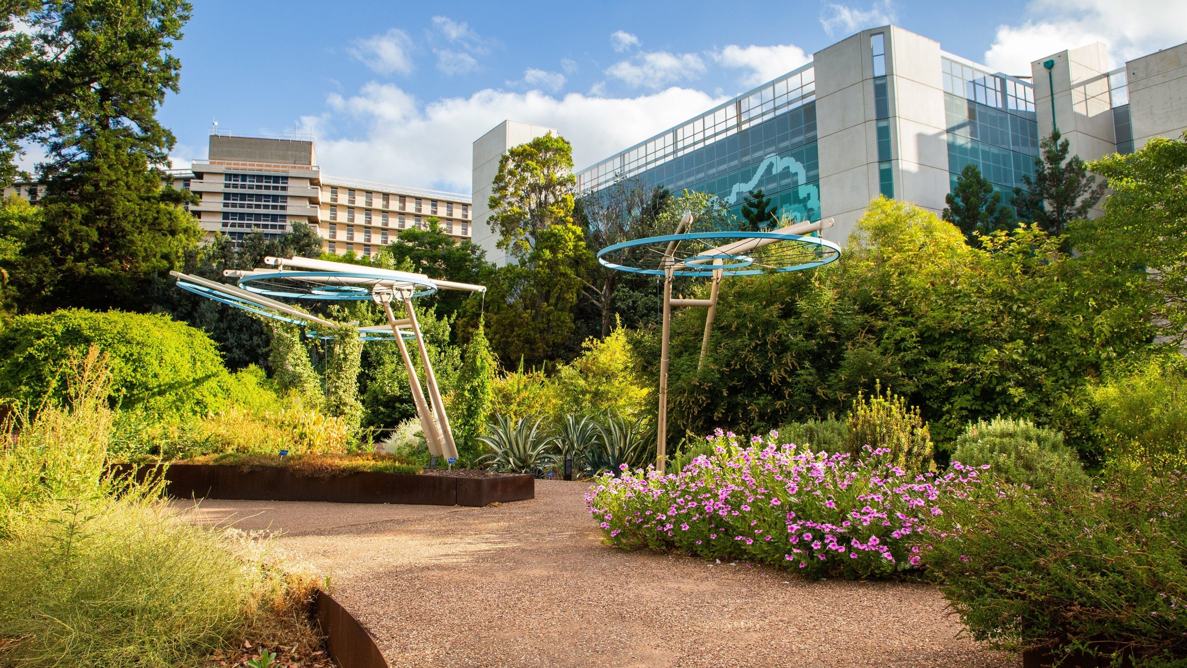 Adelaide Botanic Gardens