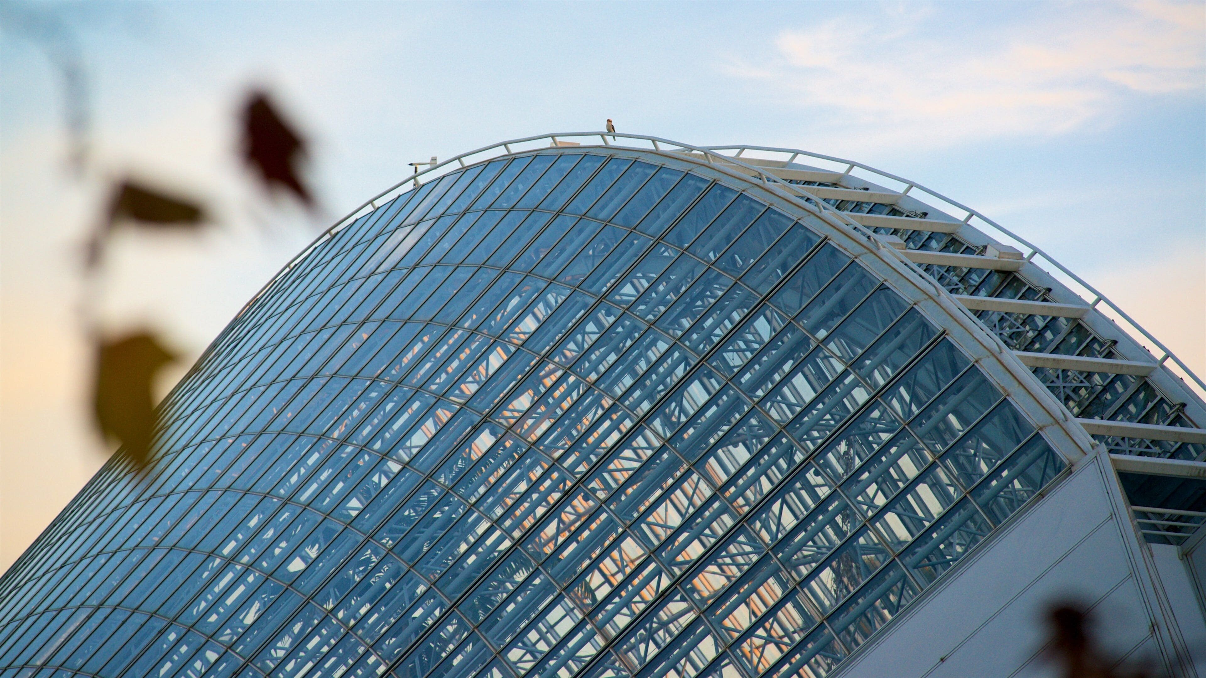 Adelaide Botanic Gardens ofreciendo arquitectura moderna
