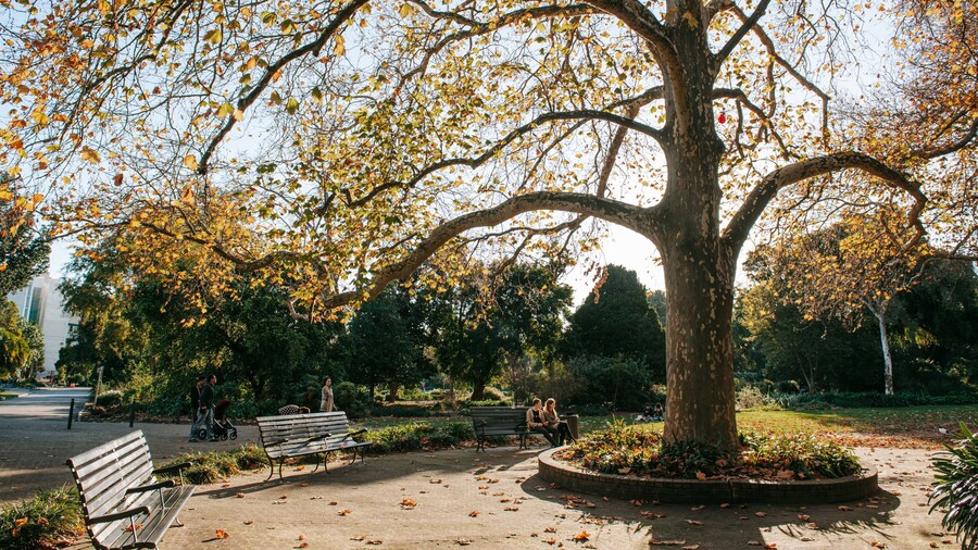 Adelaide Botanic Gardens showing a garden as well as a couple