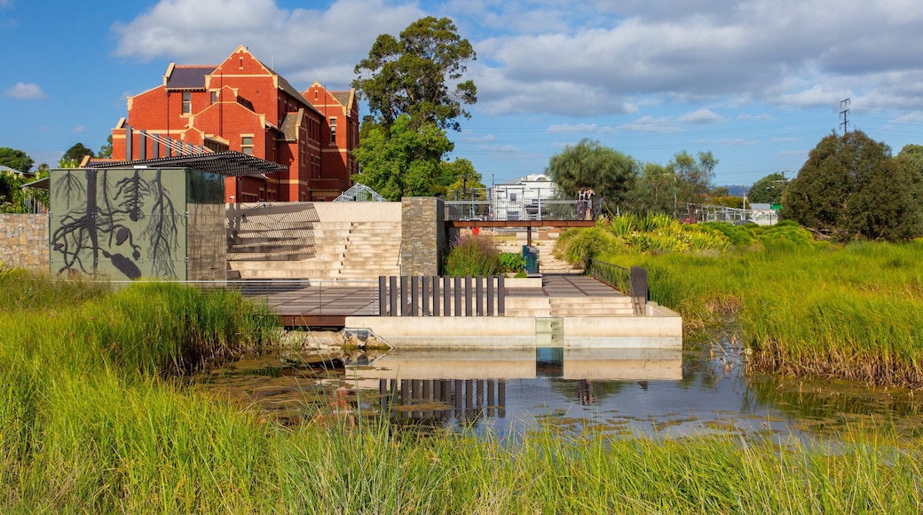 Adelaide Botanic Gardens