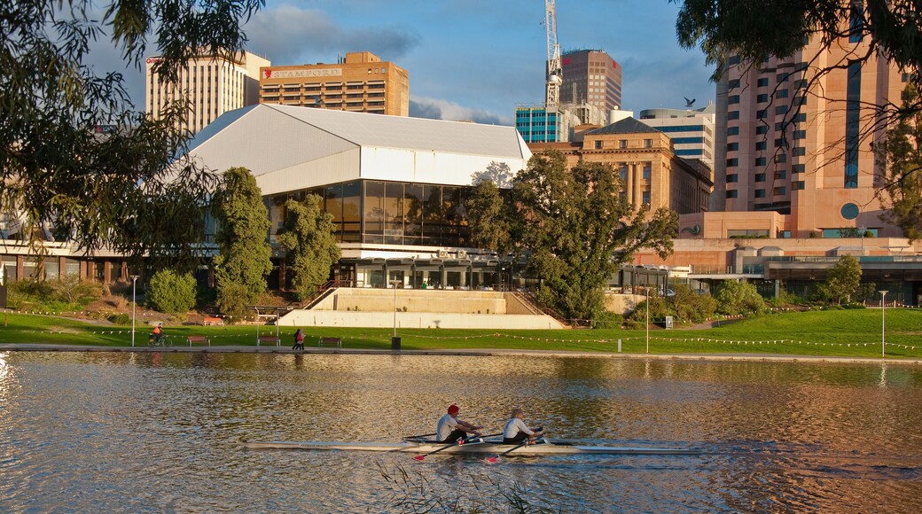 rowing on the river downtown adelaide, south australia